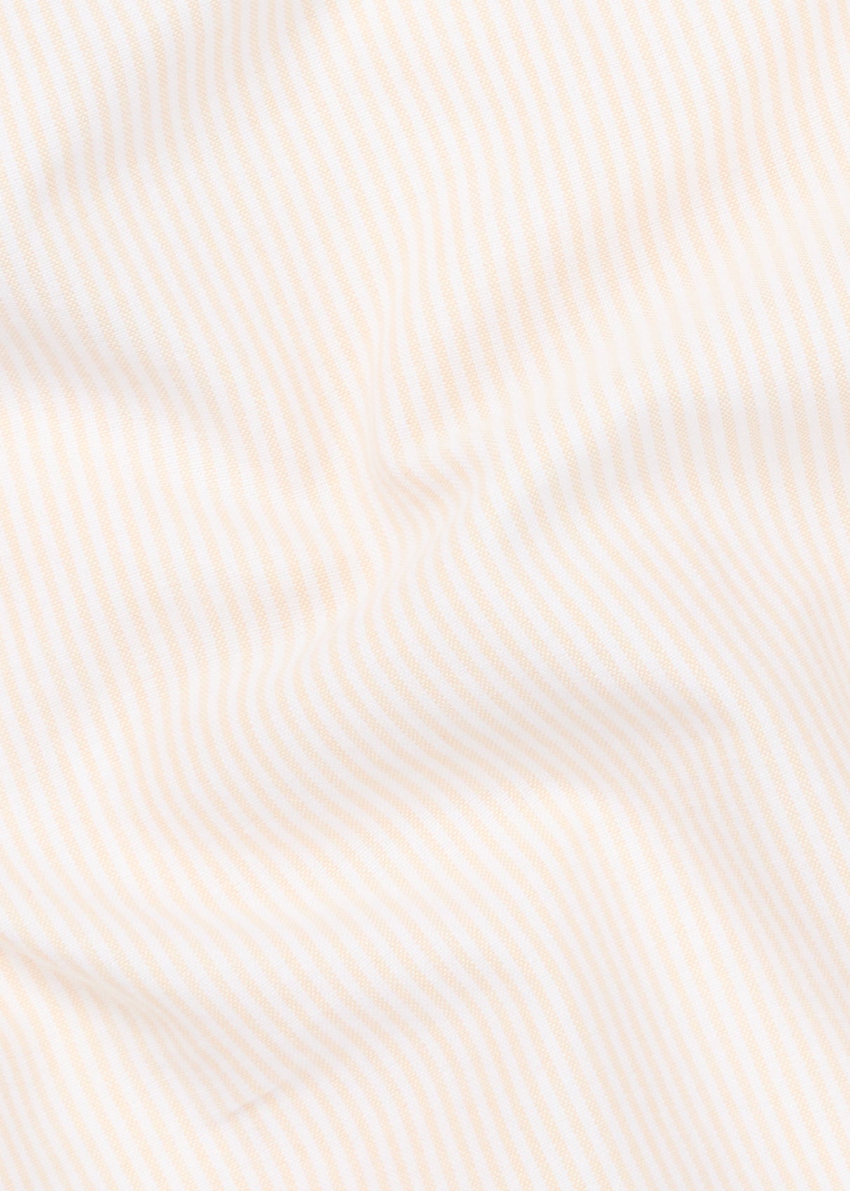 Chemise Calvi jaune et blanc